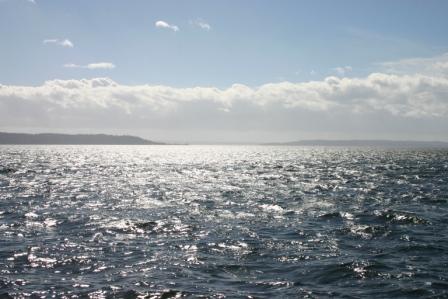 Vashon01