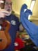 DSCN0037
