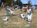 2005whidbey-28