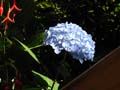 DSCN0356